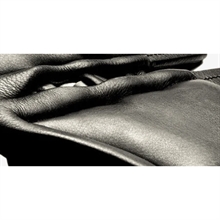 Scharf Freedom Springsattelgurt